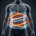 The New Anatomy of Strength: A Definitive Guide to HIFEM Technology and the Future of Body Sculpting